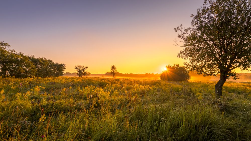 Qigong for Energy and Fatigue