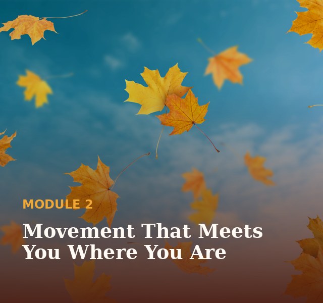 Module 2: Movement that meets you where you are