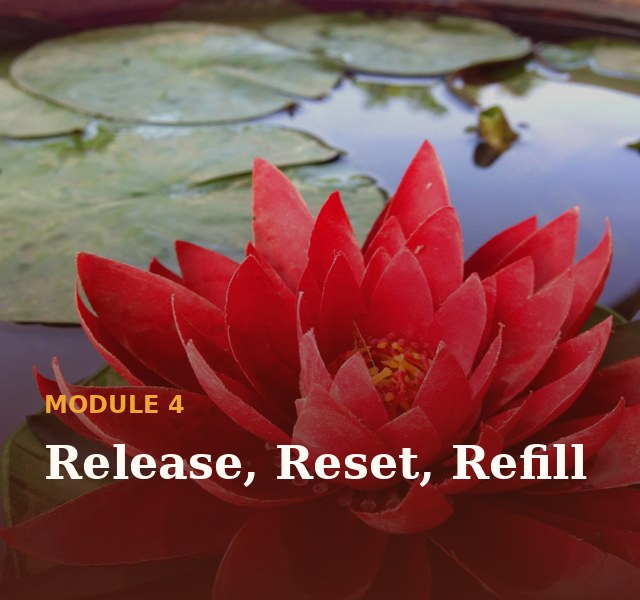 Module 4: Release, reset, refill