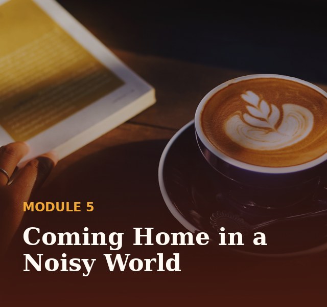 Module 5: Coming home in a noisy world